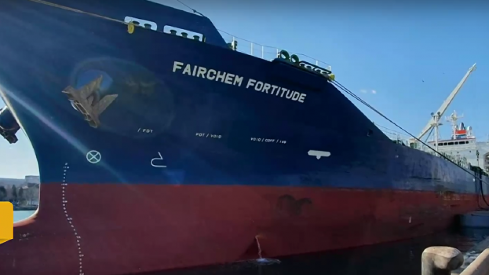 200 000 тона слънчоглед от Аржентина пътуват към България, зърнопроизводители алармират за рискове