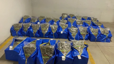 Заловиха огромни количества наркотици в София