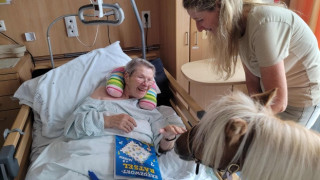 Животни помагат в медицинските заведения и социалните домове във Виена