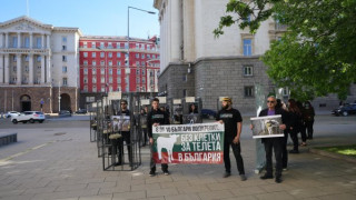 В защита на телетата: хора в клетки посрещнаха депутатите