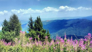 Американска класация за най-добрите страни в света постави България на 26-о място по състояние на околната среда