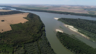 Изграждат дъждовни градини по река Дунав за спасяване на защитени видове птици, животни и растения