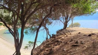 Обвит в легенди: остров Кафканас, свързан с майката на Александър Велики