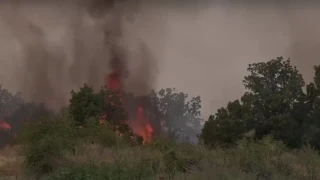 Дете на 13 години е причинило големия пожар край Хасково