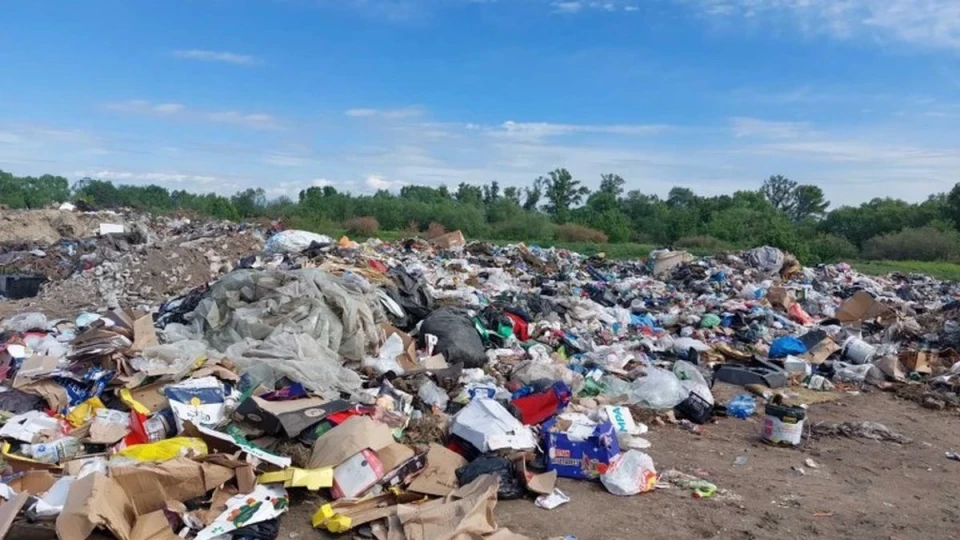 Откриха мъртво новородено бебе на сметище край Пловдив