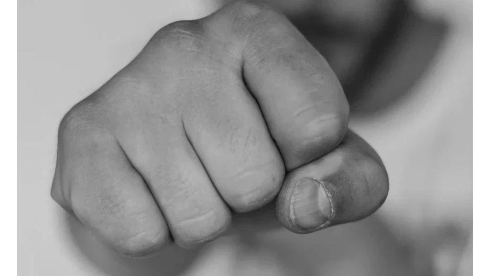 Двама братя биха брутално и ограбиха жена