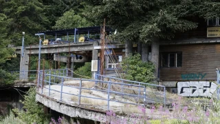 Мечка е забелязана край Симеоновския лифт на Витоша